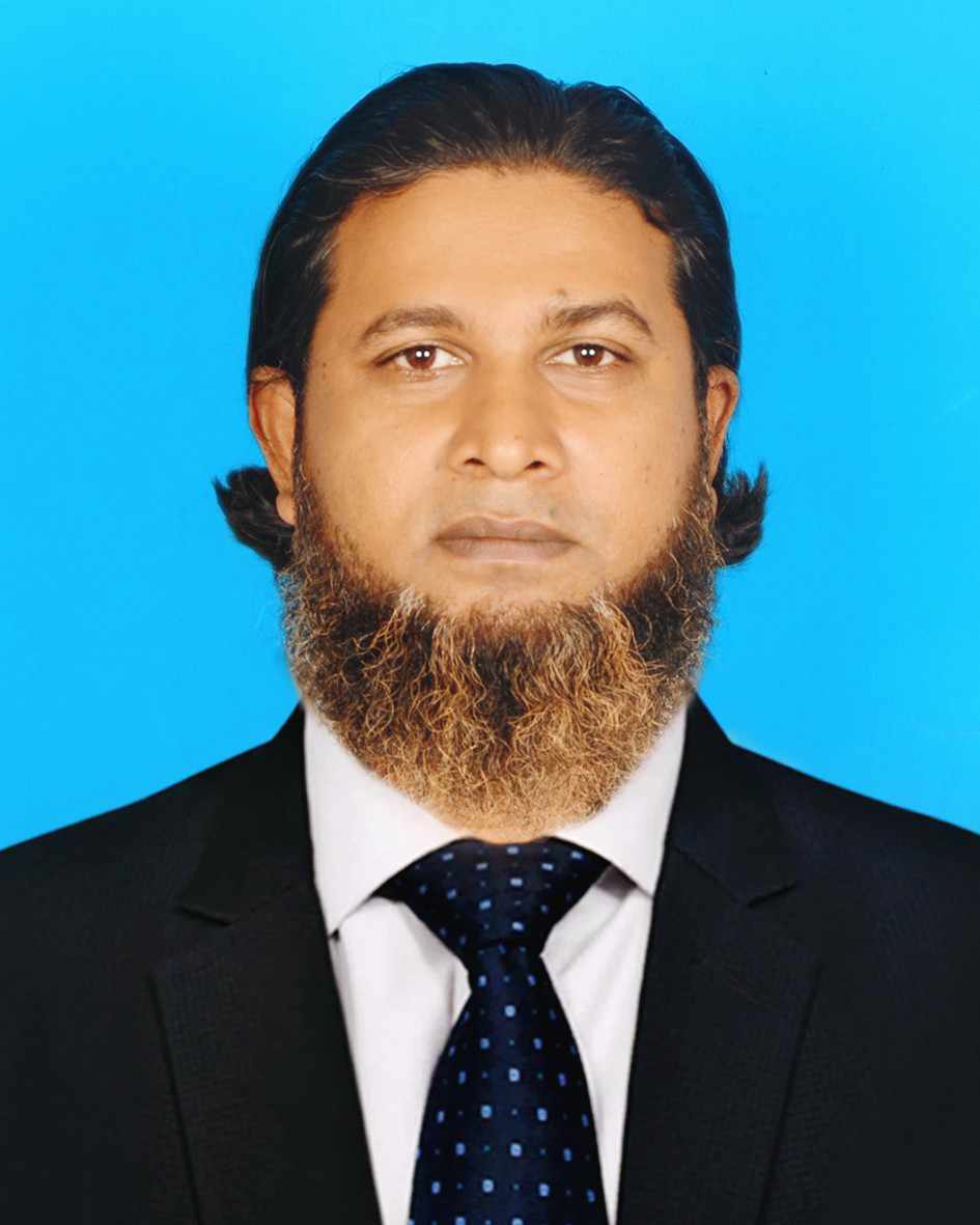 Md. Mehdi Hasan Romen, Assistant Teacher