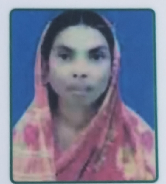 Jahanara Khatun, Ayah (Master Role)