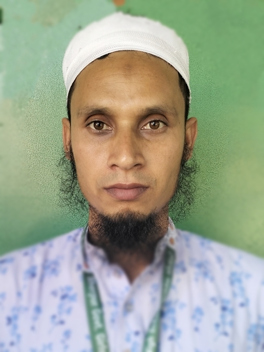 Nur-E- Alam Siddique, Assistant Teacher